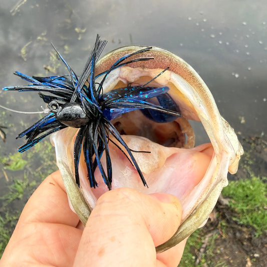 Black and Blue | FlashBang Finesse Jig