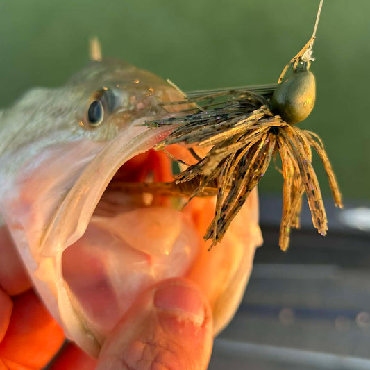 Green Pumpkin Candy | FlashBang Finesse Jig