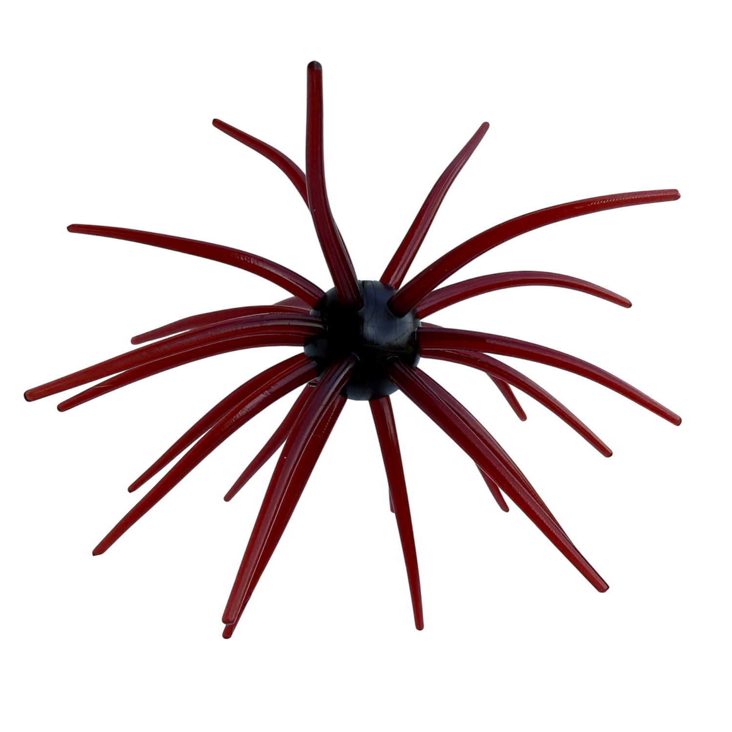 Apex Urchins