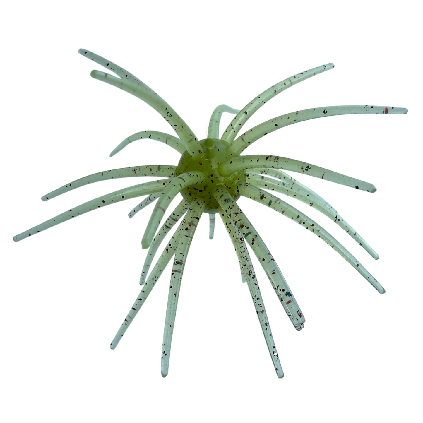 Apex Urchin - 20mm