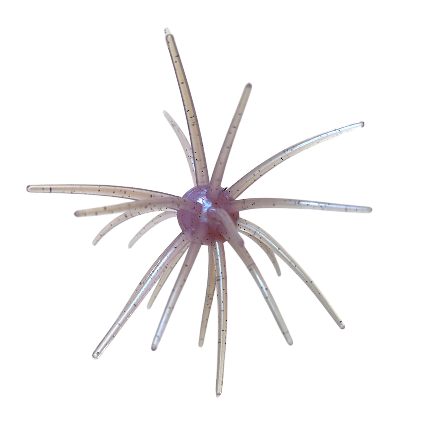 Apex Urchin - 20mm