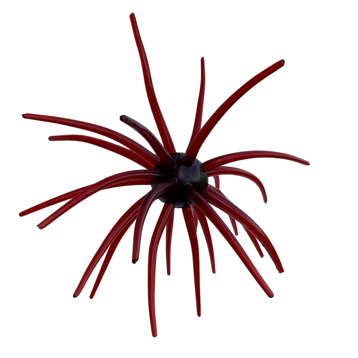 Apex Urchin - 20mm