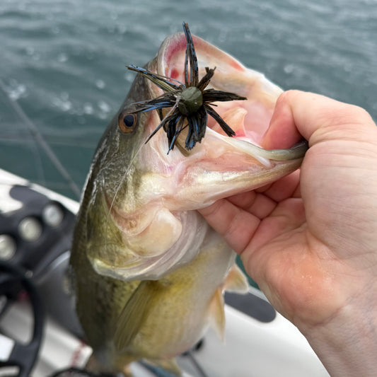 Magic Craw | FlashBang Finesse Jig